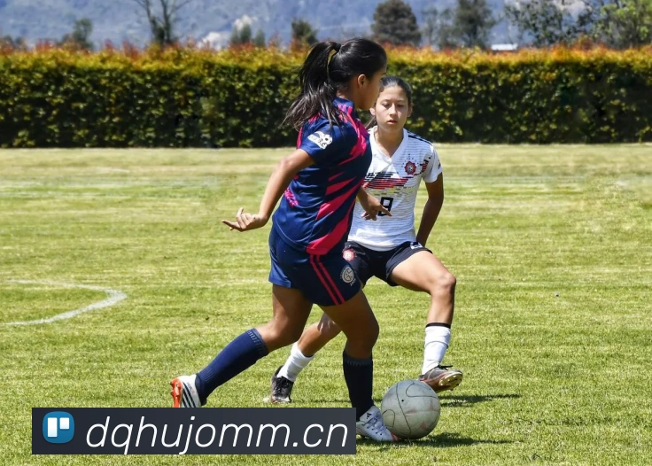 华体在线登录入口平台生态图